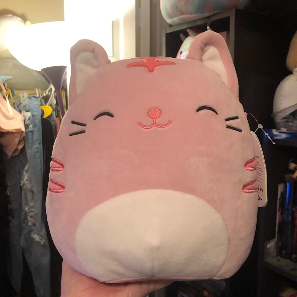 Paulita Squishmallow!